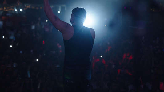 Yo Yo Honey Singh: Famous - Backdrops
