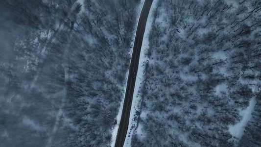 Thug Life - Backdrops