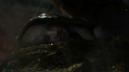Alien: Romulus - Backdrops