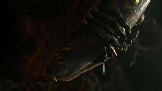 Alien: Romulus - Backdrops