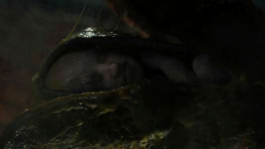 Alien: Romulus - Backdrops