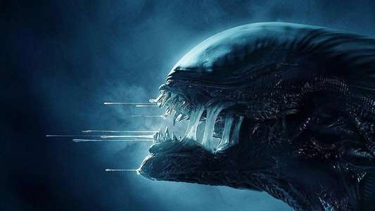 Alien: Romulus - Backdrops