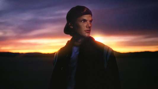 Avicii - I'm Tim - Backdrops