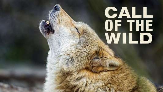 The Call of the Wild - Backdrops