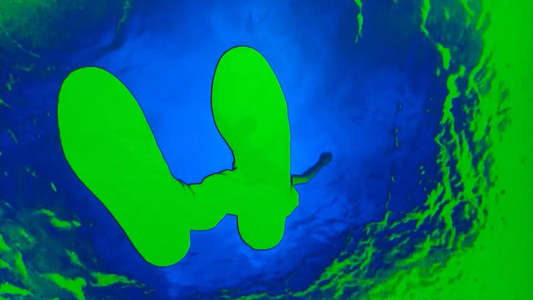 Head - Backdrops