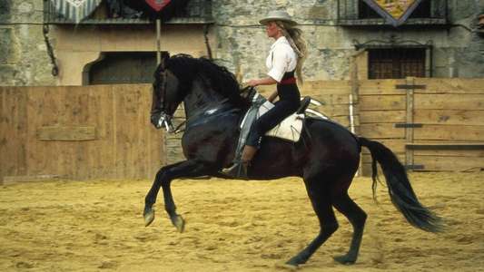 Bolero - Backdrops