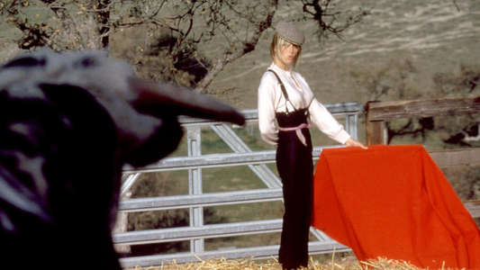 Bolero - Backdrops