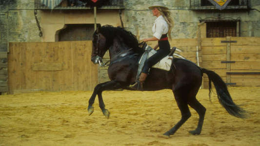 Bolero - Backdrops
