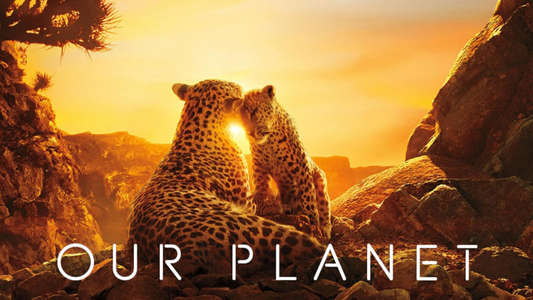 Our Planet - Backdrops