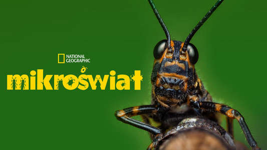 A Real Bug's Life - Backdrops