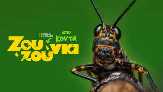 A Real Bug's Life - Backdrops