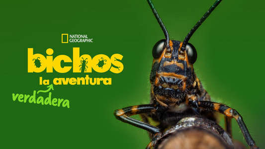 A Real Bug's Life - Backdrops