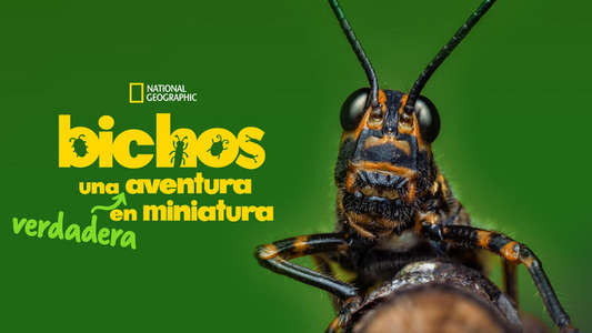 A Real Bug's Life - Backdrops