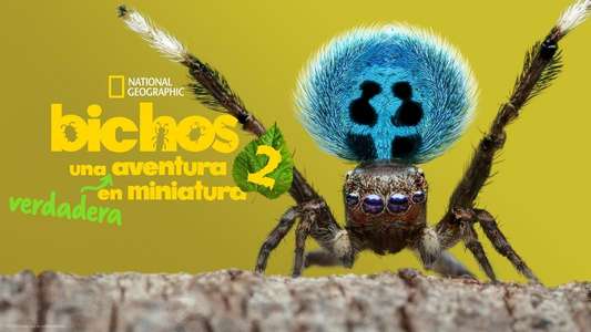 A Real Bug's Life - Backdrops