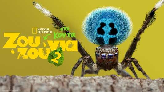 A Real Bug's Life - Backdrops