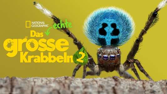 A Real Bug's Life - Backdrops