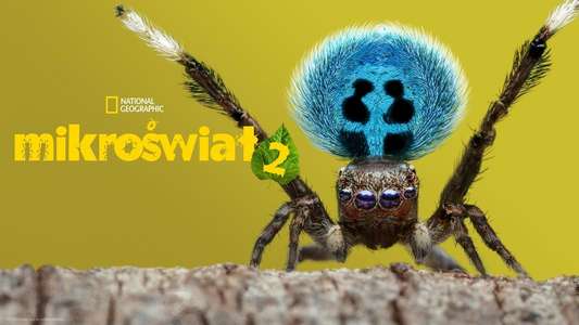 A Real Bug's Life - Backdrops