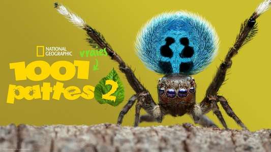 A Real Bug's Life - Backdrops