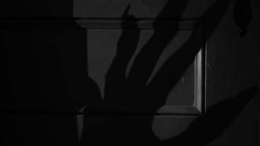 Nosferatu - Backdrops