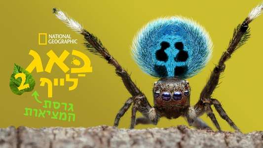 A Real Bug's Life - Backdrops