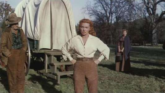 Bullwhip - Backdrops