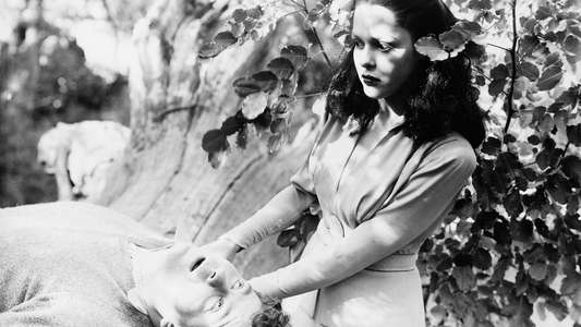 Jungle Woman - Backdrops