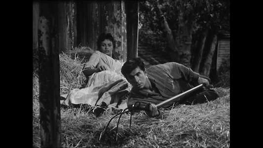Desire Under the Elms - Backdrops