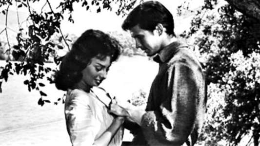 Desire Under the Elms - Backdrops
