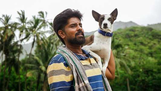 Alangu - Backdrops