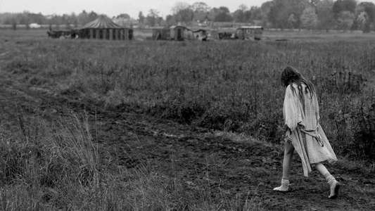 The Girl with the Needle - Backdrops