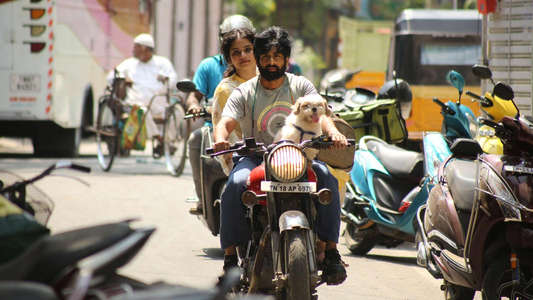 Family Padam - Backdrops