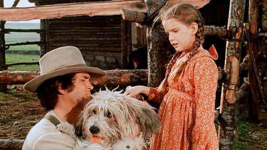 Little House on the Prairie - Backdrops