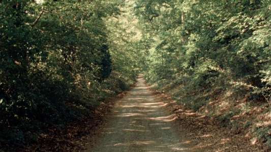Four Roads - Backdrops