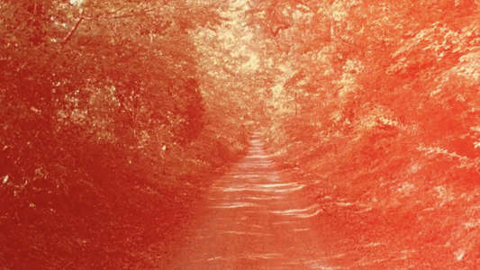 Four Roads - Backdrops