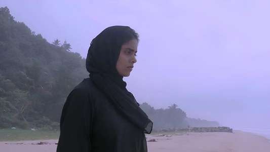 Biriyaani: Flavors of Flesh - Backdrops