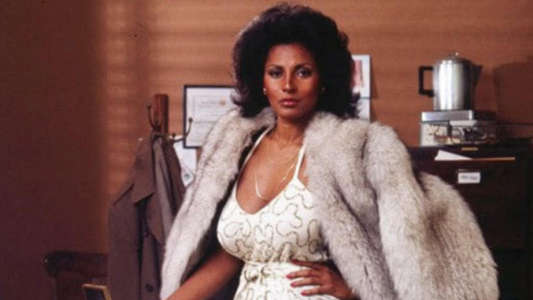 Sheba  Baby - Backdrops