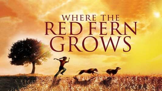 Where the Red Fern Grows - Backdrops