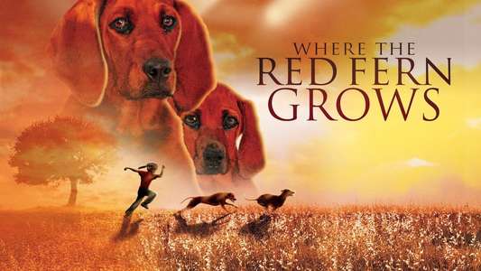 Where the Red Fern Grows - Backdrops