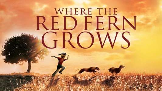 Where the Red Fern Grows - Backdrops