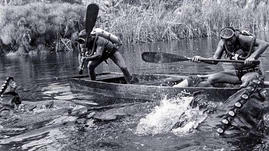 Attack of the Giant Leeches - Backdrops