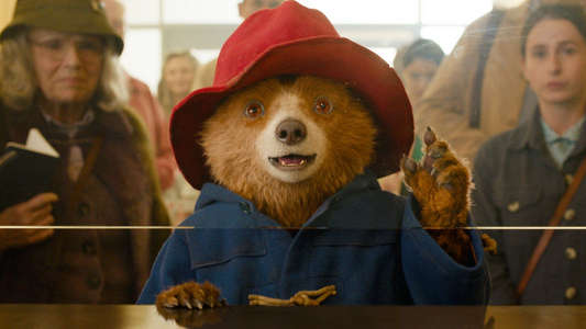 Paddington in Peru - Backdrops