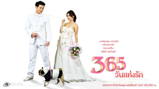 365 Days of Love - Backdrops