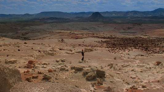 Paris  Texas - Backdrops