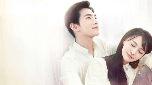 Love O2O - Backdrops