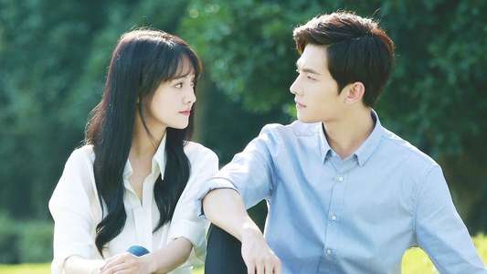Love O2O - Backdrops