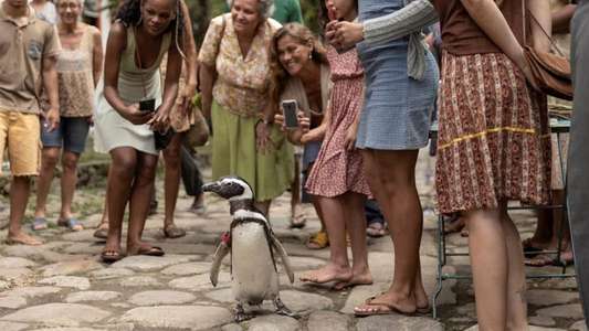 My Penguin Friend - Backdrops