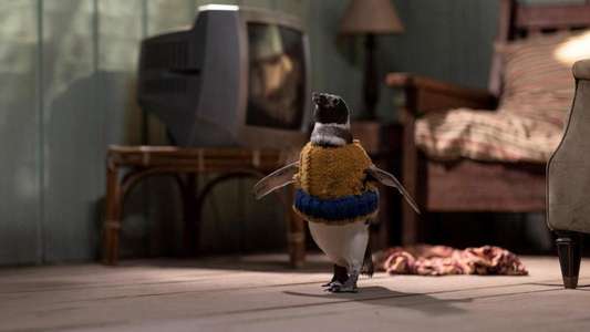 My Penguin Friend - Backdrops