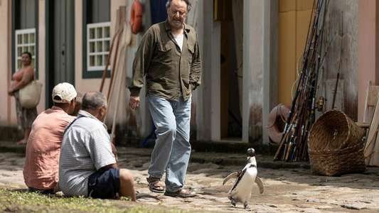 My Penguin Friend - Backdrops