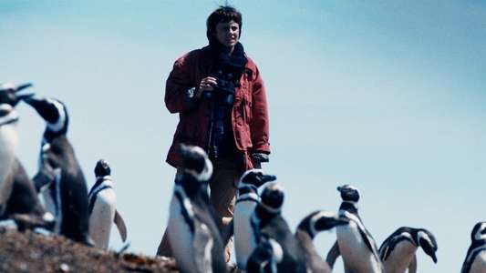 My Penguin Friend - Backdrops