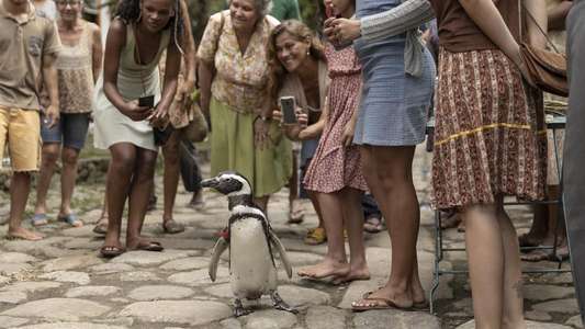 My Penguin Friend - Backdrops